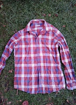 Мужская итальянская рубашка