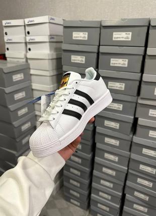 👕 adidas superstar 'white black'