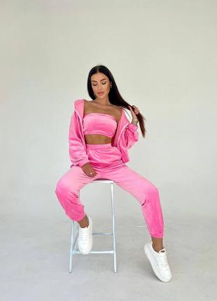 Спортивный или прогулочный костюм тройка велюр2 фото