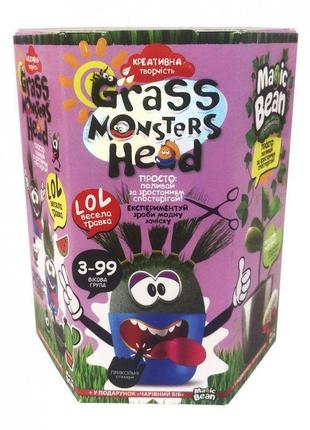 Набір креативної творчості "grass monsters head", danko toys, gmh-01-03u