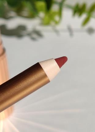 Charlotte tilbury walk of no shame lip kit