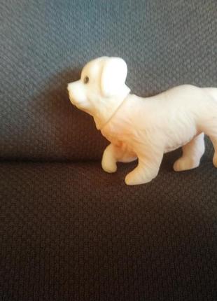 Песик маленький