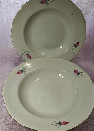 Тарелки 2 штуки