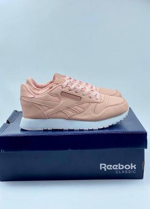 Кросівки reebok classic жіночі рибок класик круті жіночі кросівки рибок класик шкіра reebok legacy шкіряні adidas samba nike air force 1 жіночі1 фото