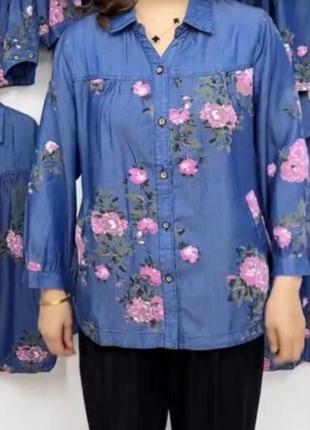 Сорочки 4 кольори