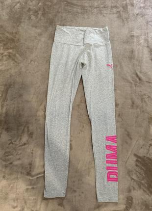 Лосіни puma