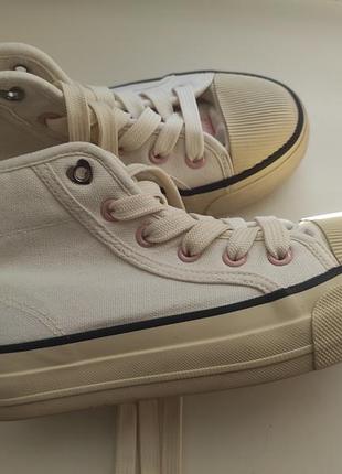 Хайтопи кеди