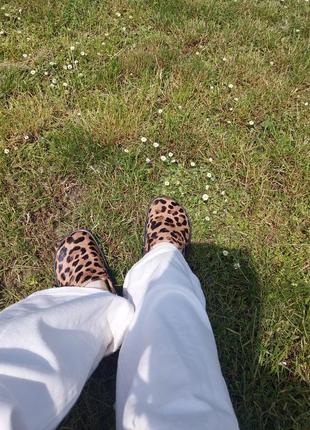Клогі artell shoes