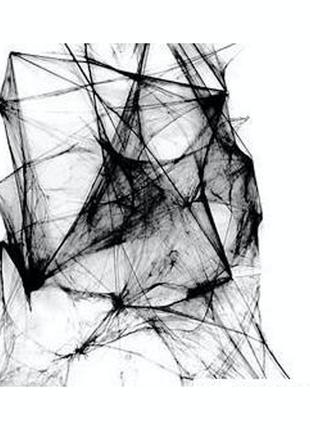 Павутина чорна декоративна