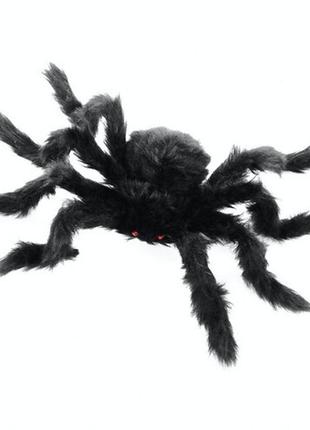 Паук большой декоративный