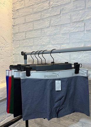 Набір чоловічих трусів