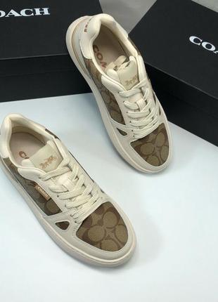 Кеды coach кеды коач коуч