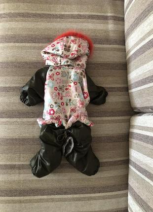 Теплый комбинезон для маленькой собачки в идеальном состоянии