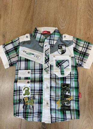 Детские шорты с рубашкой на 6 лет 8