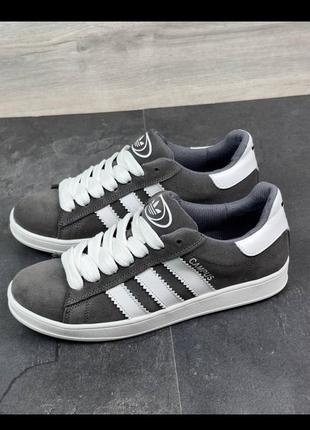 Чоловічі кеди campus з натурального нубуку, кросівки сірого кольору adidas