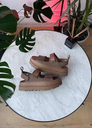 Жіночі босоніжки ugg goldenglow sandals brown