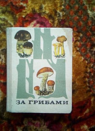 За грибами