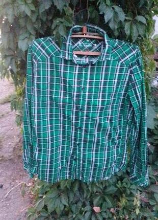 Рубашка мужская, состояние нового 👌,