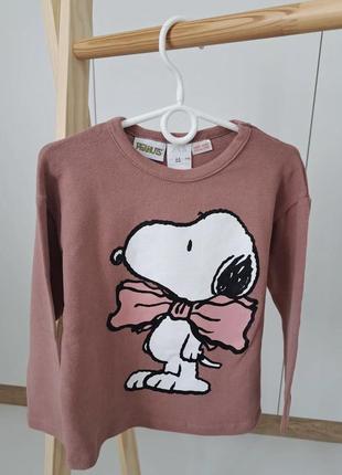 Реглан зара,реглан zara