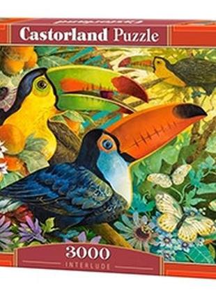 Пазли 3000ел птахи castorland с-300433