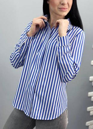 Сорочка з довгим рукавом в смужку2 фото