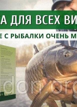 Fish drive — активатор клювання (фіш драйв)