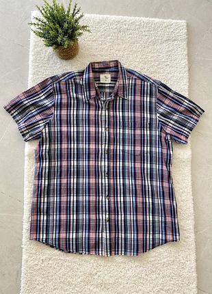 Тенниска cedar wood state xl4 фото