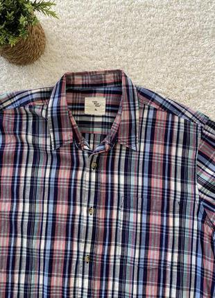 Тенниска cedar wood state xl6 фото