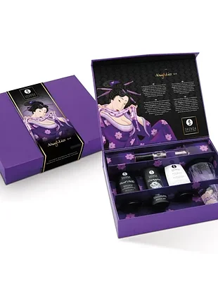 Подарочный набор shunga naughtier kit премиум 10