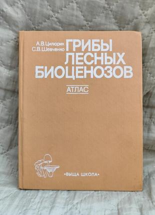 Цилюрик а. в., шевченко с. в. грибы лесных биоценозов. атлас. б/у.