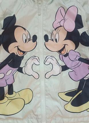 Вітровка disney mickey minnie mouse