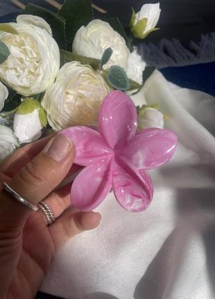 Краб крабик заколка в виде цветочки