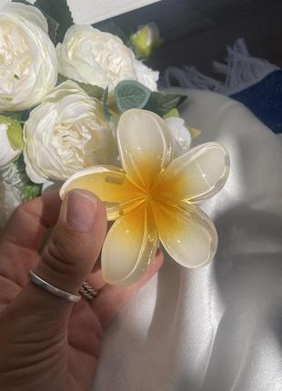 Краб крабик заколка в виде цветочки