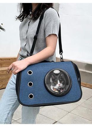 Сумка переноска з вікном для котів pet style "window" 40х25х27 синя