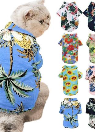 Гавайська сорочка для котів pet style блакитна
