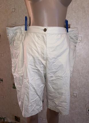 Хлопковые шорты бриджи батал большой размер