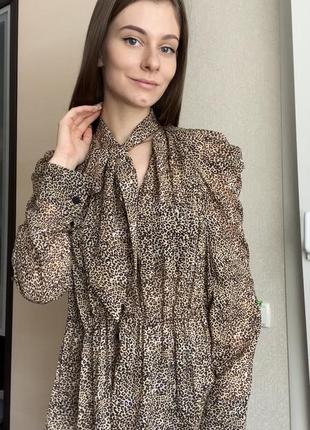 Блуза zara в леопардовый принт леопард леопардовая