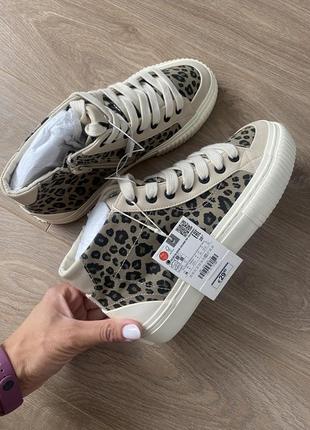 Кеди zara 37