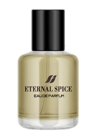 Чоловіча парфумована вода eternal spice, 50 мл