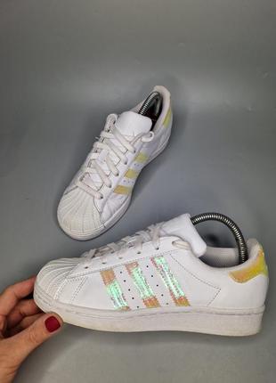 Классные кроссовки adidas superstar