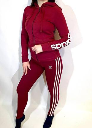 Костюм жіночий apparel лосини та кофта