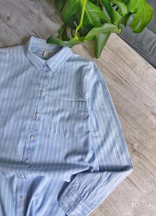Базова блакитна сорочка у смужку h&m