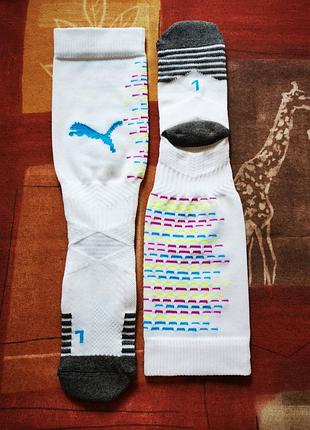 Шкарпетки від puma