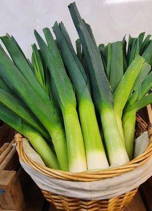 Семена лука порей карантанский