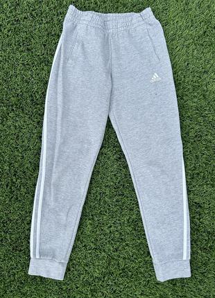 Спортивні штани adidas