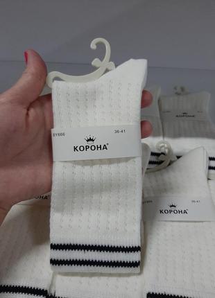 Шкарпетки