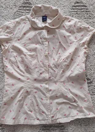 Сорочка, блузка