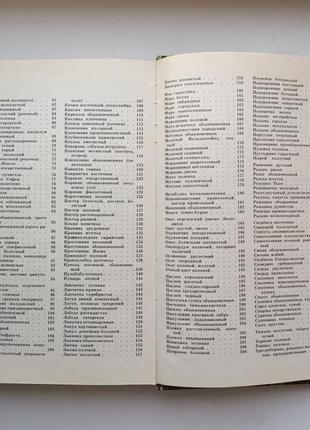 Сорные растения. фисюнов9 фото