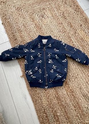Курточки фирмы zara 4