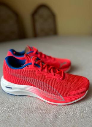 Кроссовки puma velocity nitro 2 orange для бега